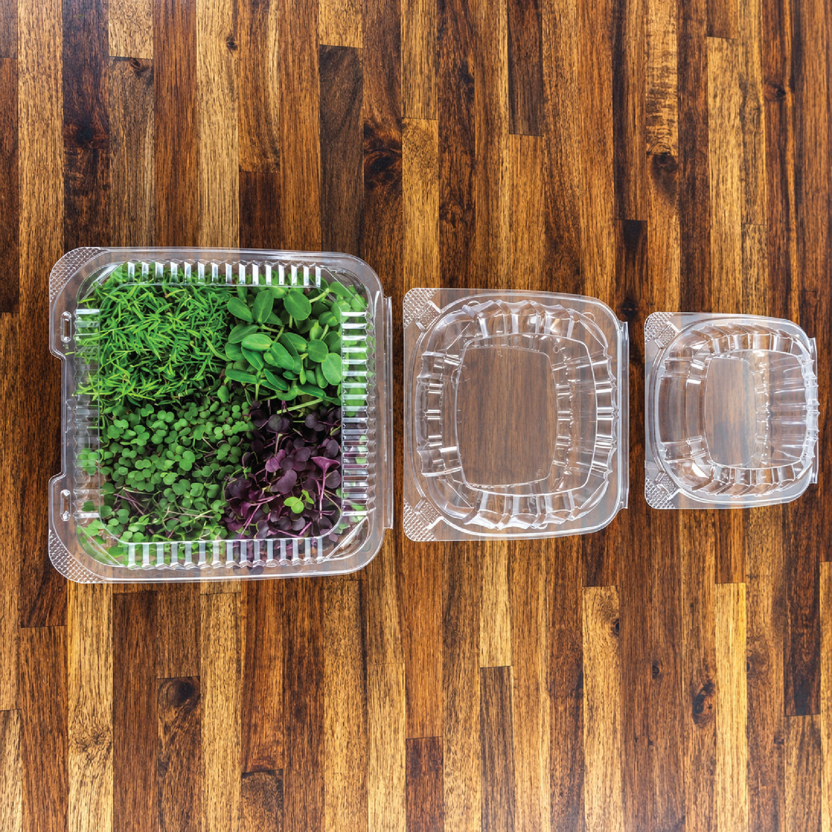 Large Microgreens