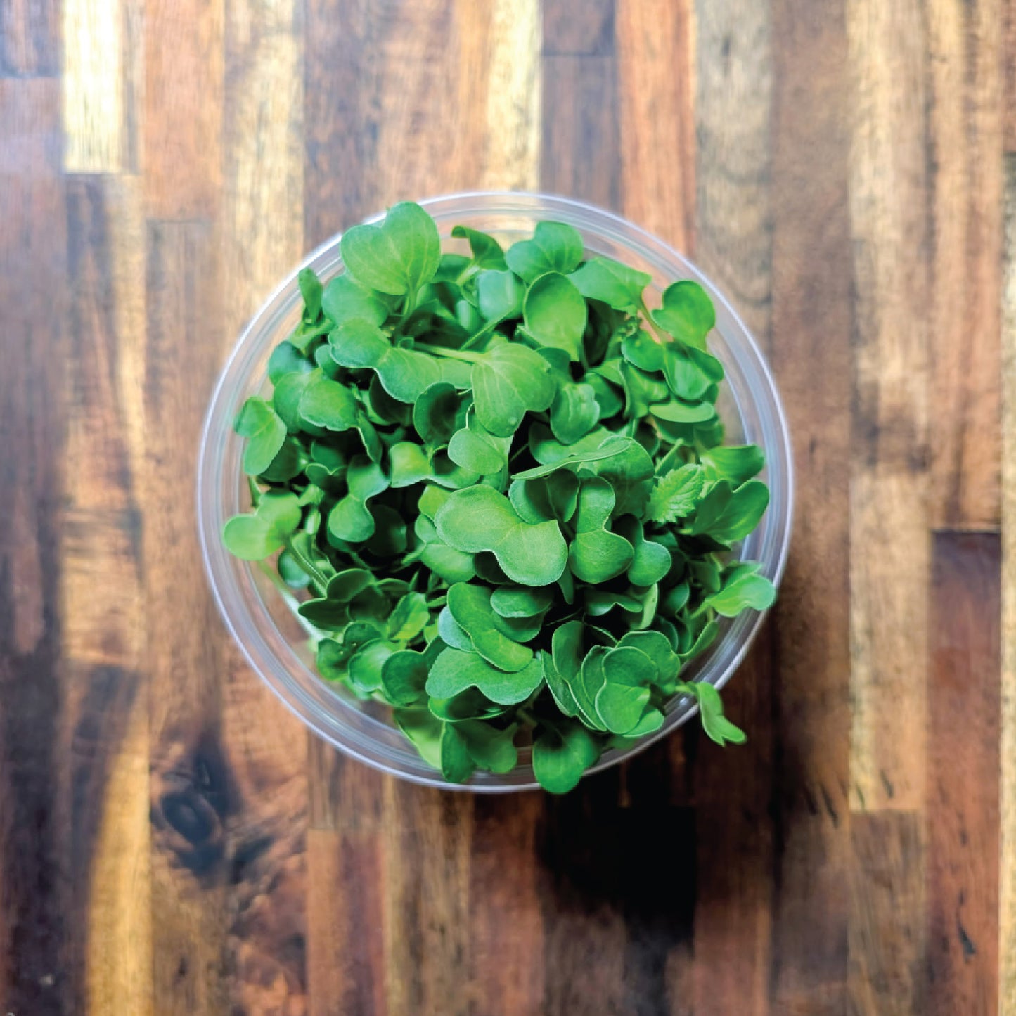 Green Radish
