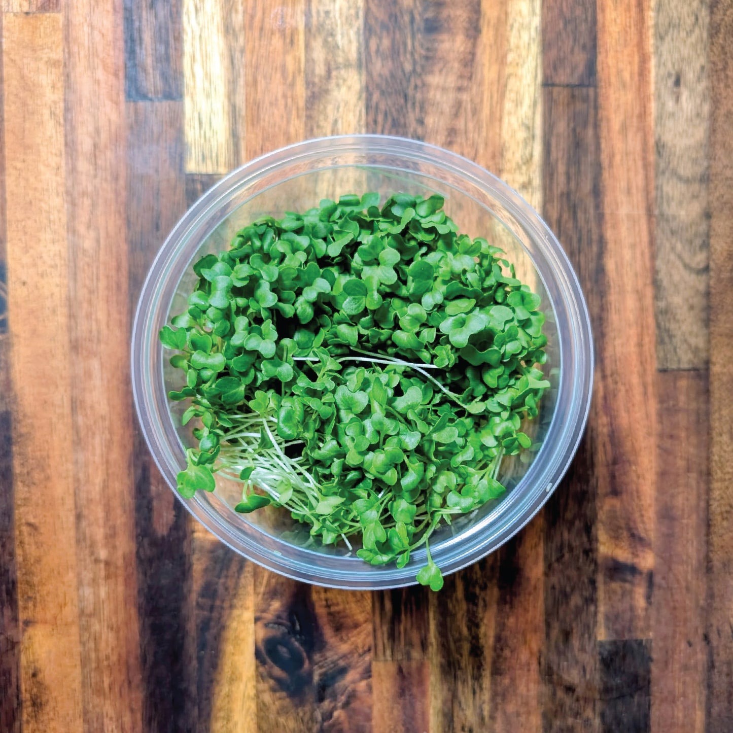 Kale